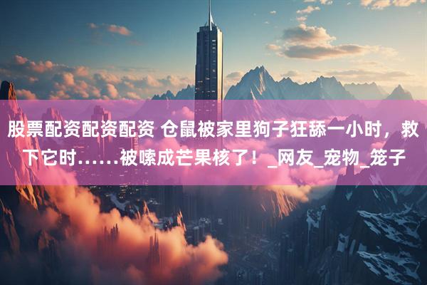 股票配资配资配资 仓鼠被家里狗子狂舔一小时，救下它时……被嗦成芒果核了！_网友_宠物_笼子