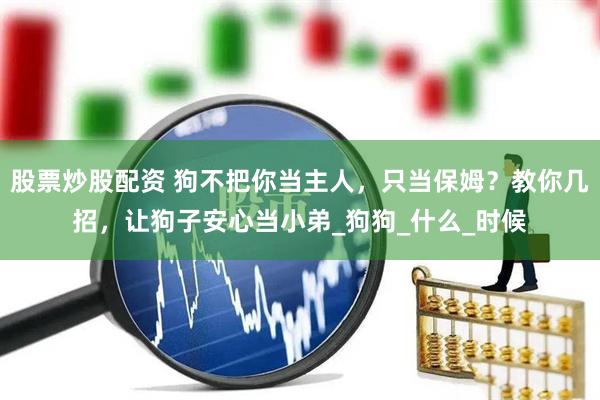 股票炒股配资 狗不把你当主人，只当保姆？教你几招，让狗子安心当小弟_狗狗_什么_时候