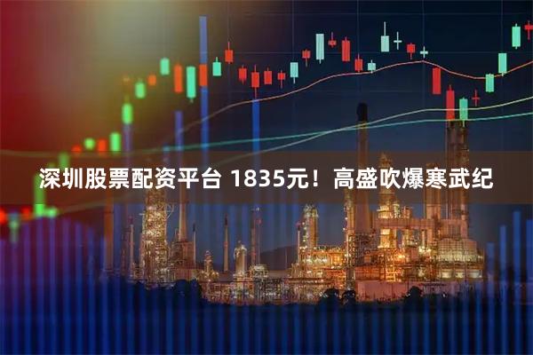 深圳股票配资平台 1835元！高盛吹爆寒武纪