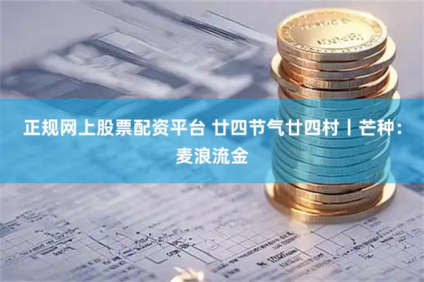 正规网上股票配资平台 廿四节气廿四村丨芒种：麦浪流金